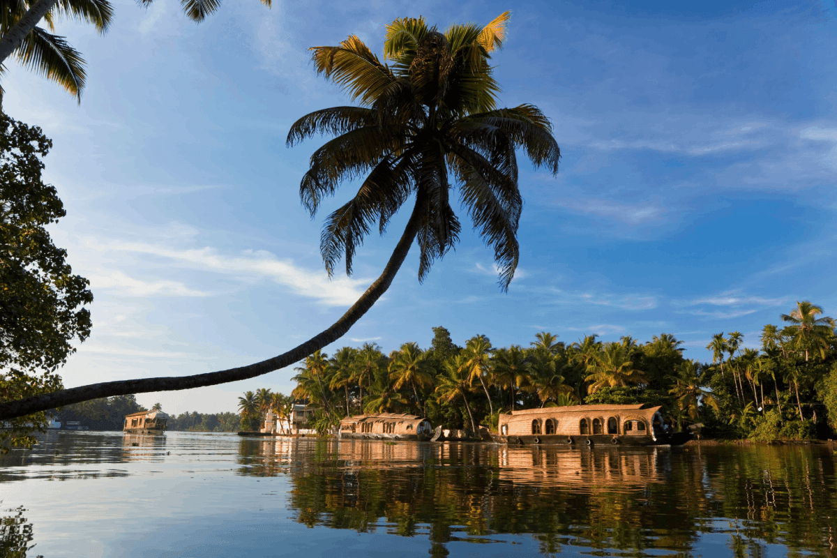 Backwaters and Fort Kochi